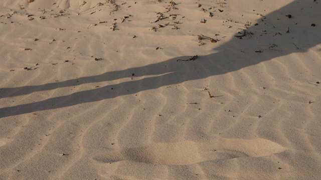 赤脚行走在沙漠沙地上的男人特写。男性的影子和脚印在沙滩上视频素材