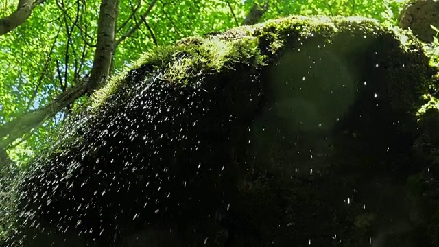 慢镜头，瀑布在山上高速卷。特写的春天的水滴下落和溅在绿色的苔藓视频素材