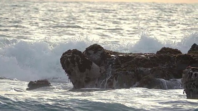 海浪和岩石与藻类。慢动作视频素材