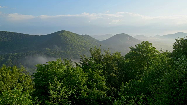 春天的云雾景观，Vorderweidenthal, Pfälzerwald，莱茵兰-普法尔茨，德国视频素材