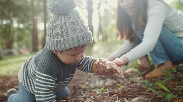 快乐的小男孩在森林的草地上迈出了他的第一步。视频素材