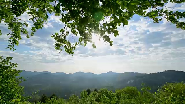 山毛榉树叶和阳光景观，Vorderweidenthal, Pfälzerwald，莱茵兰-普法尔茨，德国视频素材