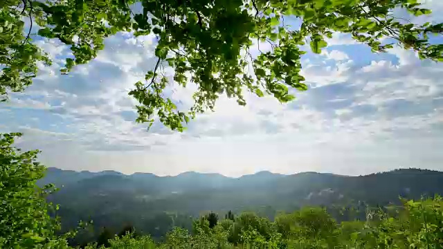 山毛榉树叶和阳光景观，Vorderweidenthal, Pfälzerwald，莱茵兰-普法尔茨，德国视频素材