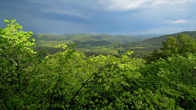 春天的风景，Vorderweidenthal, Pfälzerwald，莱茵兰-普法尔茨，德国视频素材