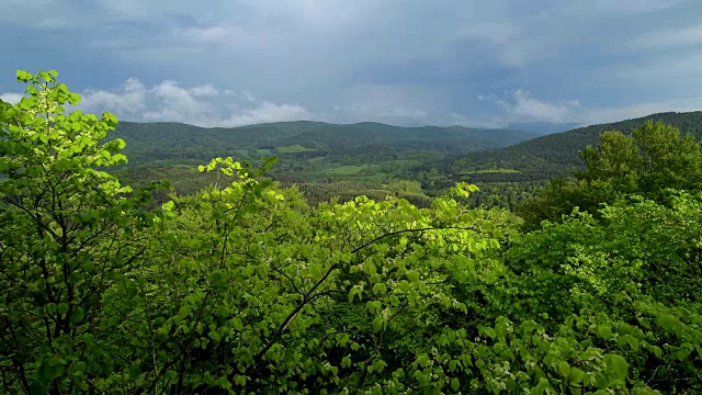 春天的风景，Vorderweidenthal, Pfälzerwald，莱茵兰-普法尔茨，德国视频素材