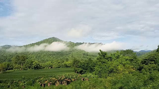 有雾的山地景观视频素材