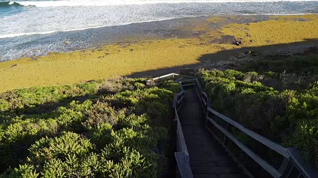 夏天，澳大利亚大洋路的贝尔海滩上的木楼梯视频素材