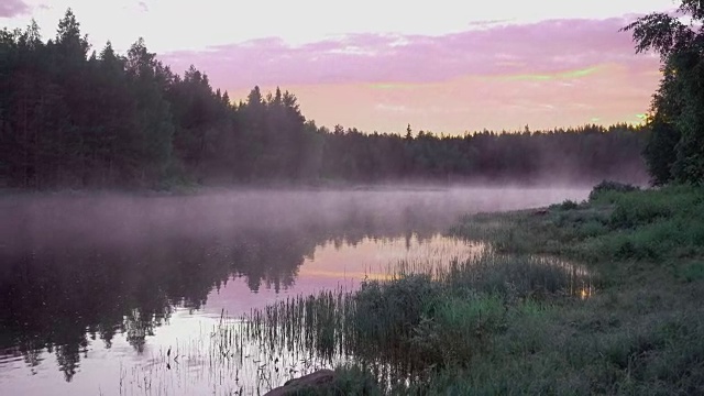 荒野河在斯堪的那维亚与雾夜景视频素材