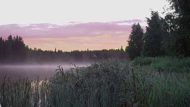 荒野河在斯堪的那维亚与雾夜景视频素材