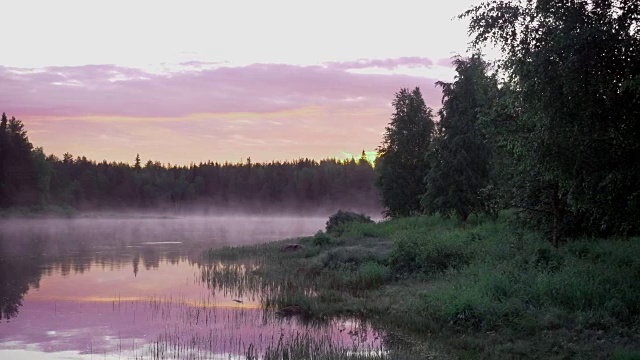 荒野河在斯堪的那维亚与雾夜景视频素材