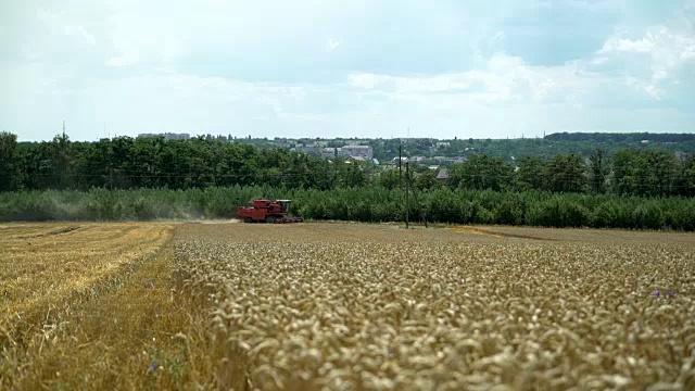 联合收割机收割农场里成熟的小麦。视频素材