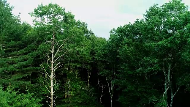 上升的视野空中卡茨基尔山河流日落夏天视频素材