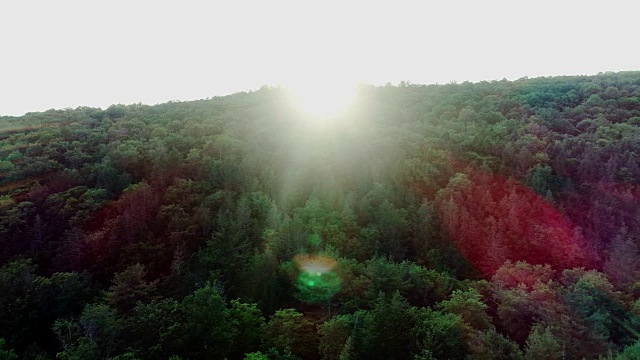 空中卡茨基尔山河流日落高角度看夏天视频素材