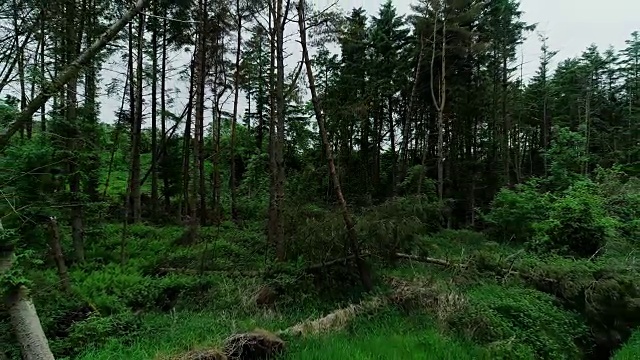 空中卡茨基尔山河流日落夏季低角度视图视频素材