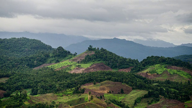 雨后有雾的山区风景，泰国北部视频素材