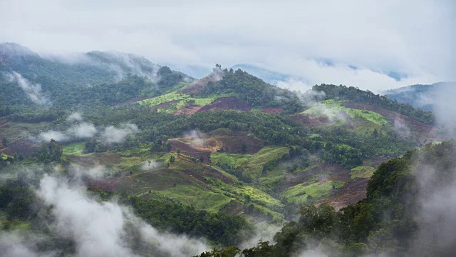 雨后有雾的山区风景，泰国北部视频素材