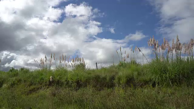 通过巴西南部的太阳之路的公路旅行视频素材