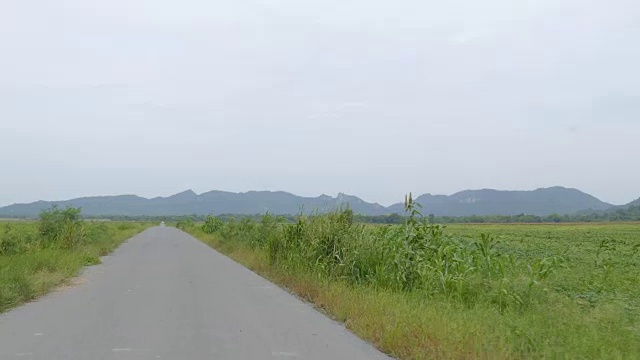 美丽的视角拍摄的道路在森林。视频素材