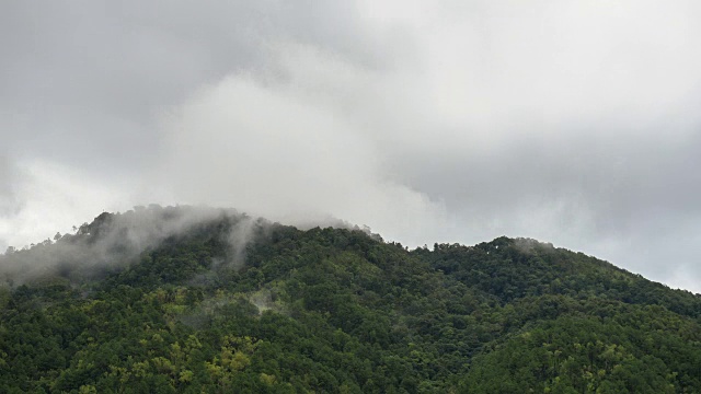 雨后有雾的山区风景，泰国北部视频素材