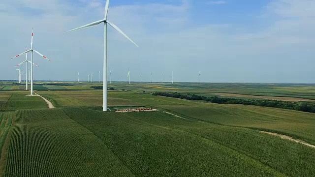 夏天在绿玉米地里的风力涡轮机视频素材