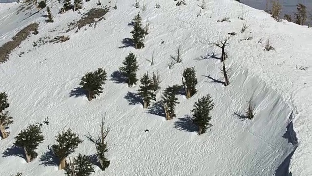 宽广的镜头沙漠山脉从后面的雪山覆盖的山峰出现视频素材