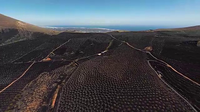 西班牙，加那利群岛，兰萨罗特岛，葡萄酒谷360度空中全景图视频素材