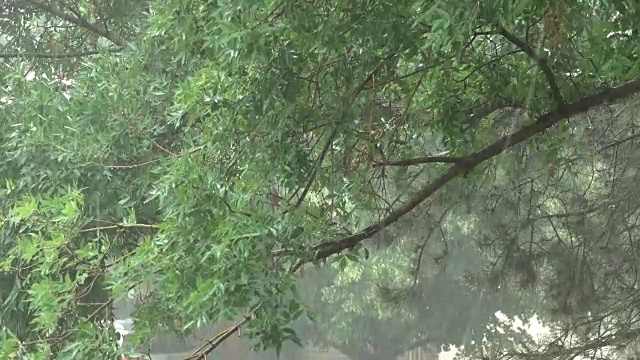 狂风骤雨，暴雨，冰雹充斥着科罗拉多州丹佛市的街道视频素材