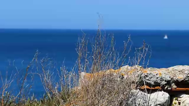 夏天海洋背景视频素材