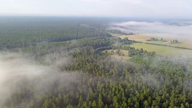 朦胧的日出在乡村小路上鸟瞰拉脱维亚视频素材