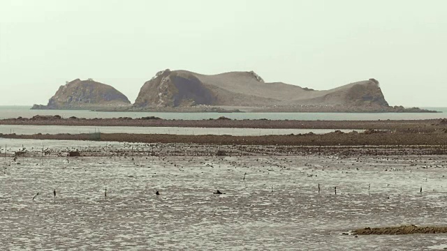 仁川Ongjin-gun(濒危鸟类的天然栖息地)的退潮海景视频素材