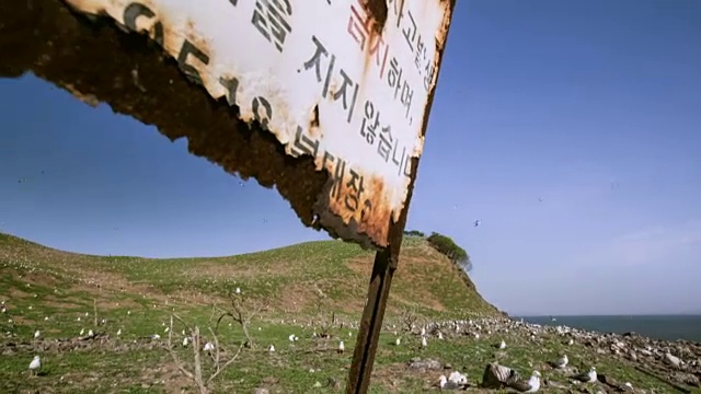 仁川Ongjin-gun(濒危鸟类的自然栖息地)岛上的海鸥视频素材