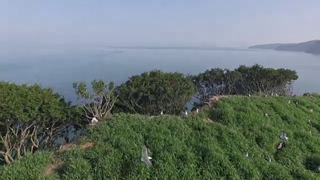 仁川Ongjin-gun(濒危鸟类的天然栖息地)的广阔岛屿和蓝色的海洋视频素材