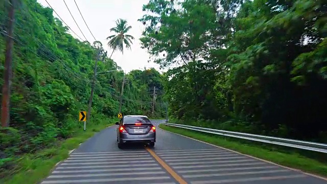 在热带的柏油路上骑过棕榈树视频素材