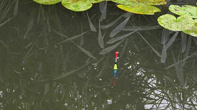 明亮的浮子在河上漂浮着一口鱼视频素材