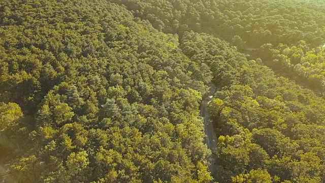 在一个夏日的山林路上，无人机飞过树林上空视频素材