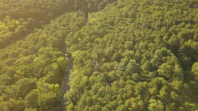 在一个夏日的山林路上，无人机飞过树林上空视频素材