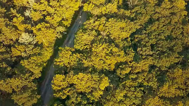 无人驾驶飞机从头顶飞过夏季森林公路，汽车经过视频素材