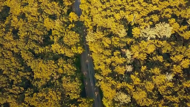 无人驾驶飞机从头顶飞过夏季森林公路，汽车经过视频素材