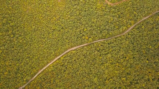 无人机飞过森林公路上空视频素材