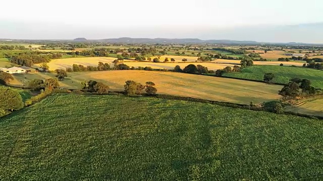 航拍全景，平移旋转移动。无人机在日落时拍摄平原和黄色麦田的全景。视频素材