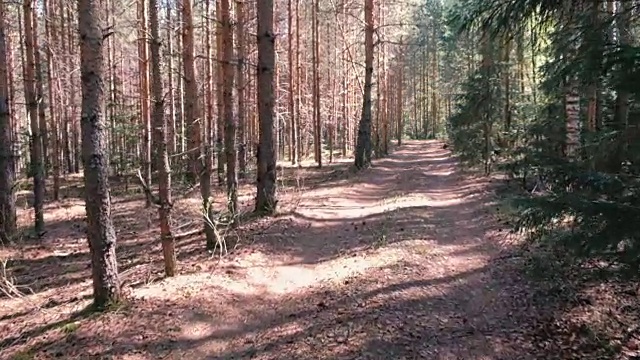 穿着运动服的女人正在公园里慢跑。后视图。缓慢的运动。视频素材