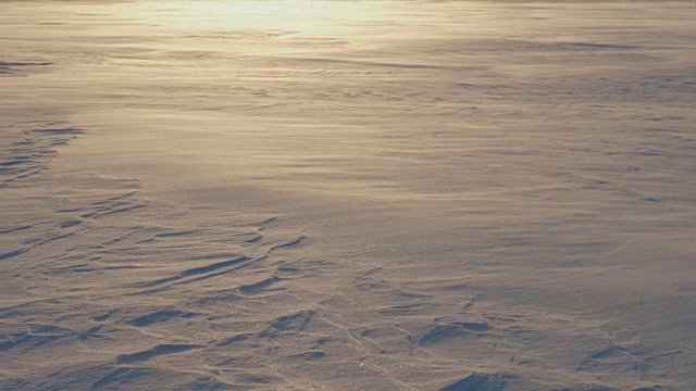 在金色的夕阳下，雪花和霜在风中飞舞视频素材