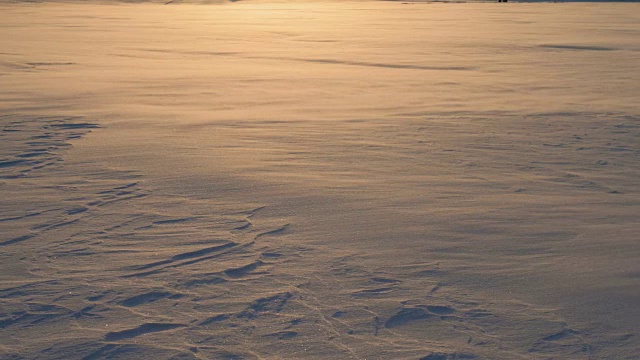 在金色的夕阳下，雪花和霜在风中飞舞视频素材