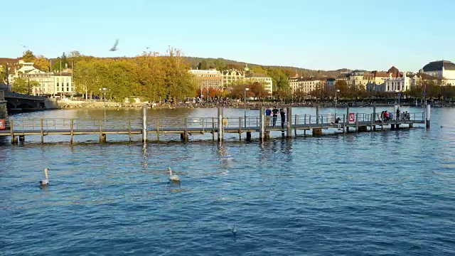 苏黎世湖堤岸全景，瑞士视频素材