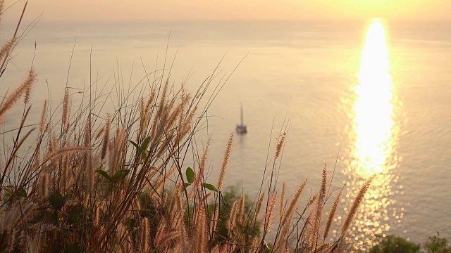 夕阳下的Phromthep海角视频素材