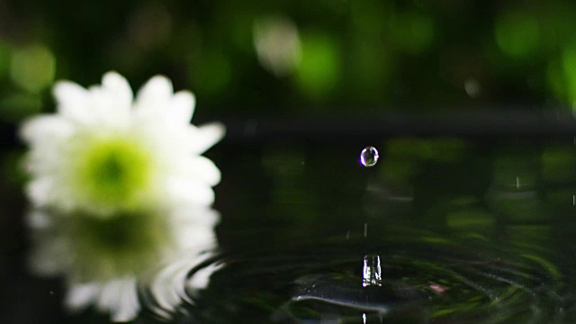 混合精油与水滴，香味和芳香的芳香疗法为健康和水疗。美丽的理念。芳香精油。精华液从树叶上滴入健康中心的泳池视频素材