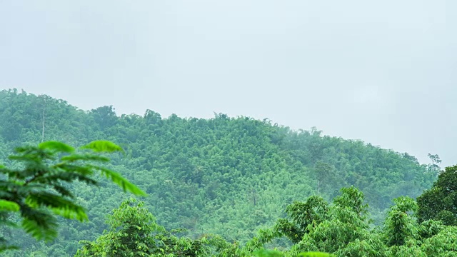 雾在早上在雨林山脉上滚动，时间流逝视频视频素材