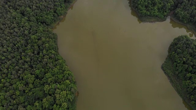 4K航拍向上看的镜头。绿色的森林和湖泊在一个雨季视频素材