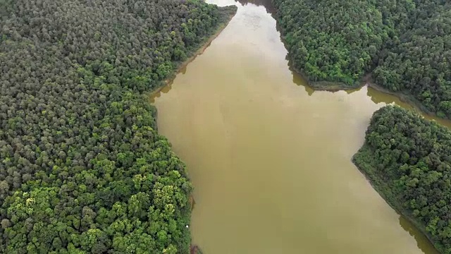 4K航拍镜头俯视图镜头。绿色的森林和湖泊在一个雨季视频素材