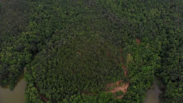 4K航拍镜头俯视图镜头。绿色的森林和湖泊在一个雨季视频素材